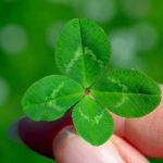 運がいい人の共通点や特徴とは？たった2つのことを意識すれば運がよくなる！